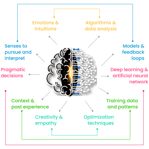 Fonctionnalités du cerveau humain et de la machine